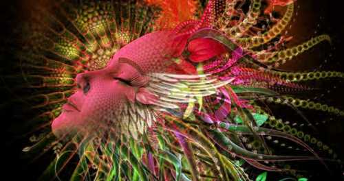 восприятие предметов внешнего мира