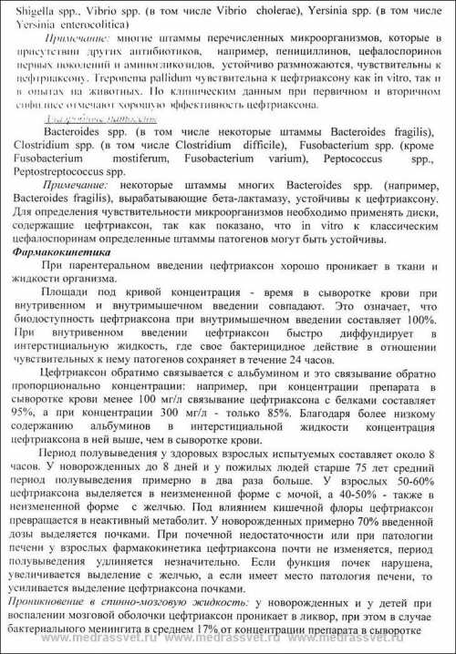 цефтриаксон и алкоголь: совместимость и побочные эффекты