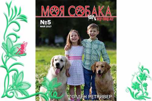 собака боится ветеринара