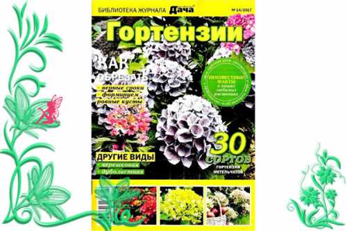 моя любимая программа