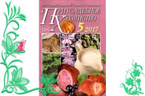 журнал о кино eteri, автор на моноклер