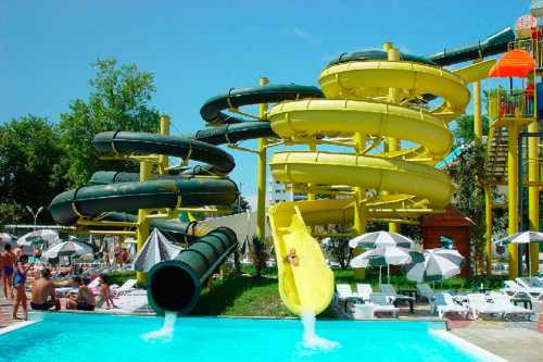 салюки персидская борзая