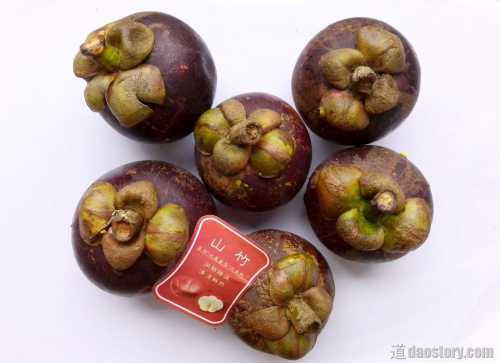 разврат, бабло и грубая сила: экс