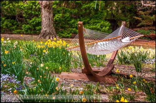 новый год в последний момент: накрыть стол и выглядеть королевой