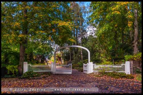 очаровательный малыш завоевал сотни поклонников