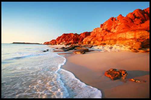 лучшие средства от паразитов для домашних питомцев