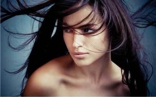 рассказ об бостон терьере