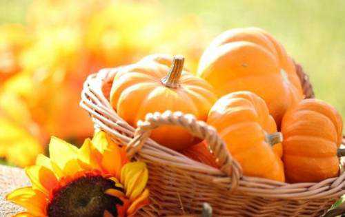 метелка для уборки пыли: как пользоваться