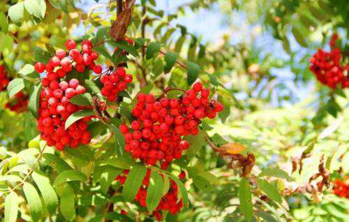 фракционный термолиз: показания и эффективность процедуры