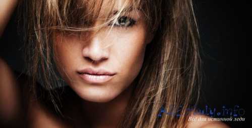 измельчитель отходов: виды, технология